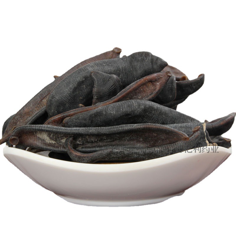 Shui Zhi Dried Leech (Hirudo medicinalis) — Air-Dried Whole Herb, 100g - Image 5