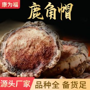 Deer Antler Cap Powder (Cervus nippon) — Dried Deer Antler Base Powder, 500g