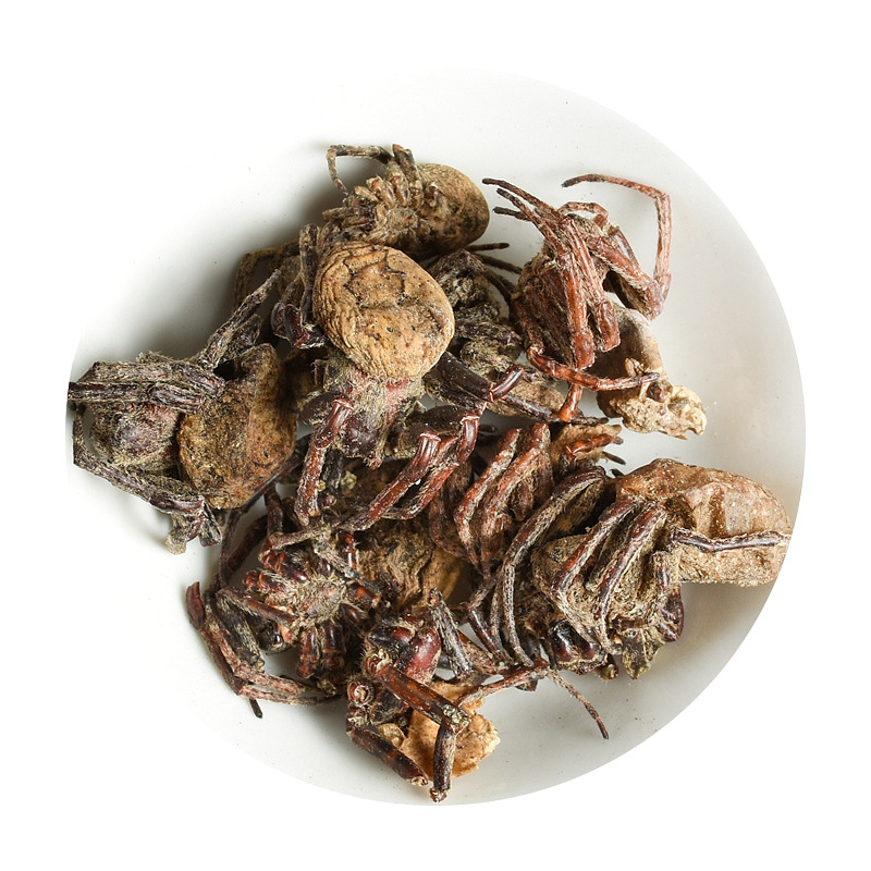 Black Spider Dried Herb (Hei Zhi Zhu) — Traditional Chinese Medicinal Spider, 500g - Image 5
