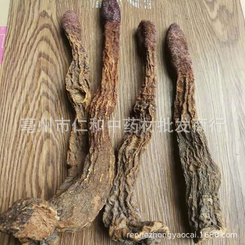 Dried Suo Yang Cynomorium Slices Whole Herb Tonic Herbal Tea and Decoction Ingredient - Image 5