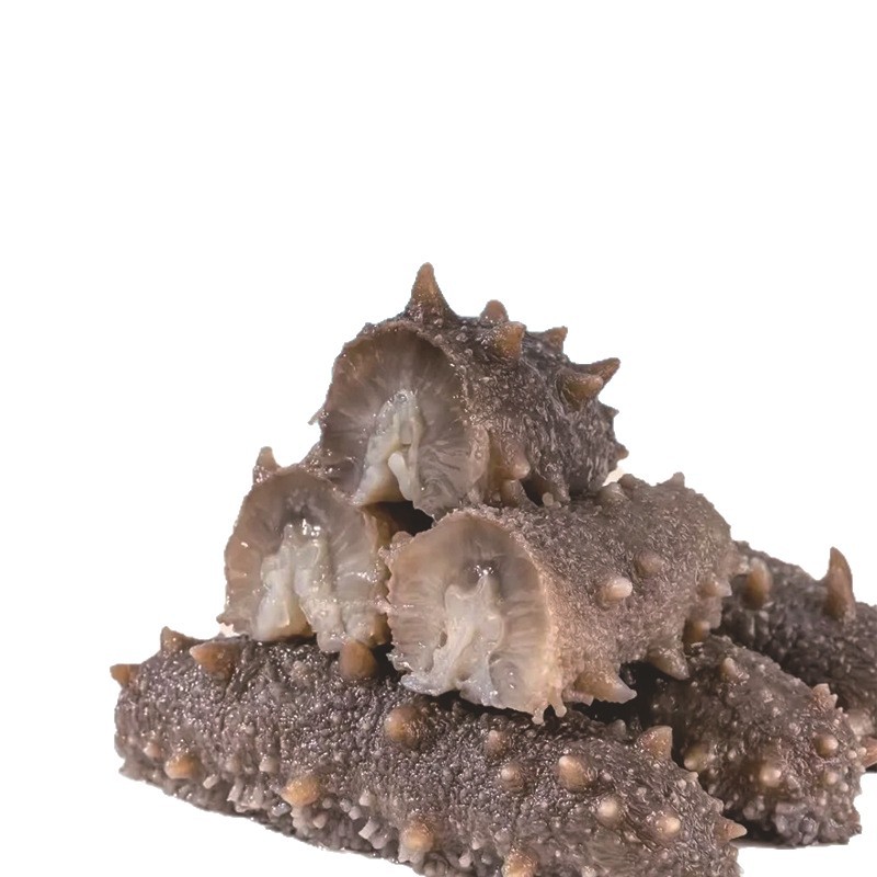 Ready to Eat Sea Cucumber Frozen Vacuum Packed 500g SC Certified Factory Direct - Image 5