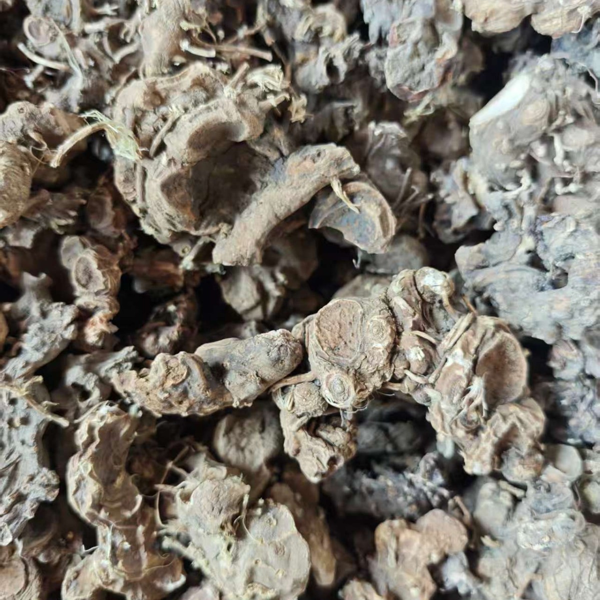 Ba Jiao Lian (Dysosma versipellis) — Dried Chinese Herbal Rhizome, 500g - Image 5