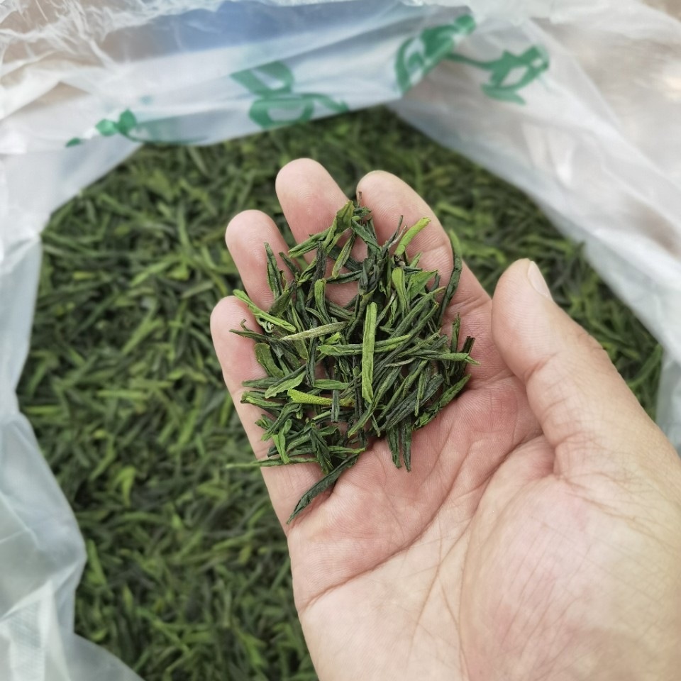 Lu An Gua Pian Green Tea 2026 Spring Pre-Rain Harvest Anhui Origin 250g Loose Leaf - Image 2