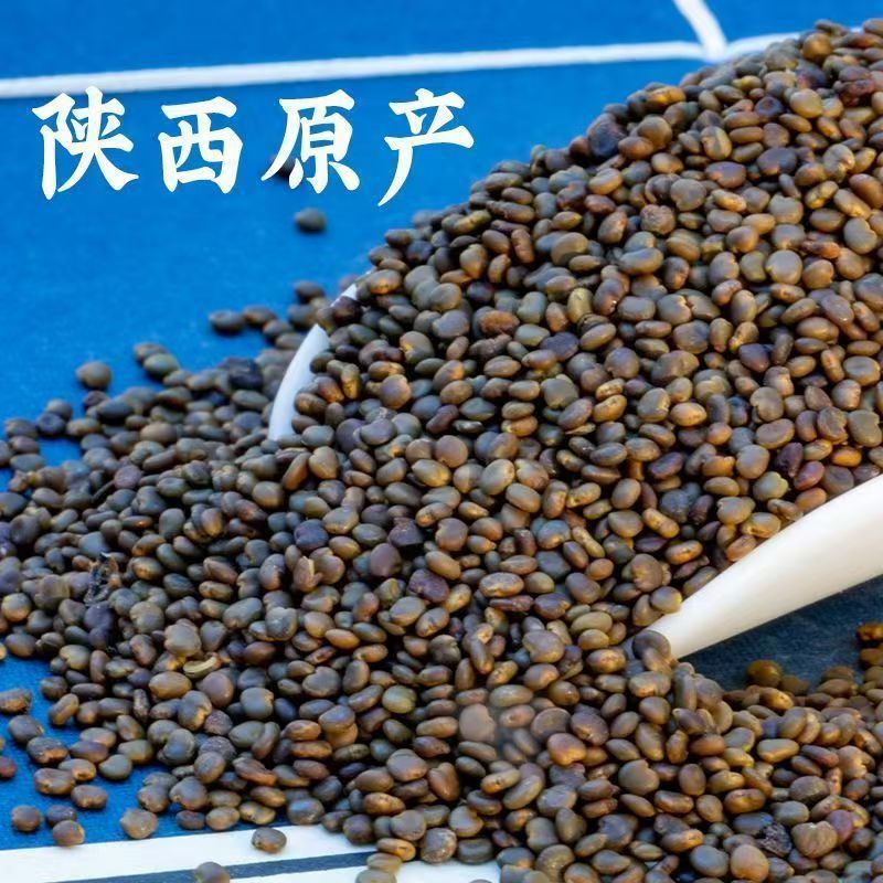 Sha Yuan Zi Powder 500g Astragalus Cistanche Free Herbal Powder for Daily Tea and Culinary Use - Image 2