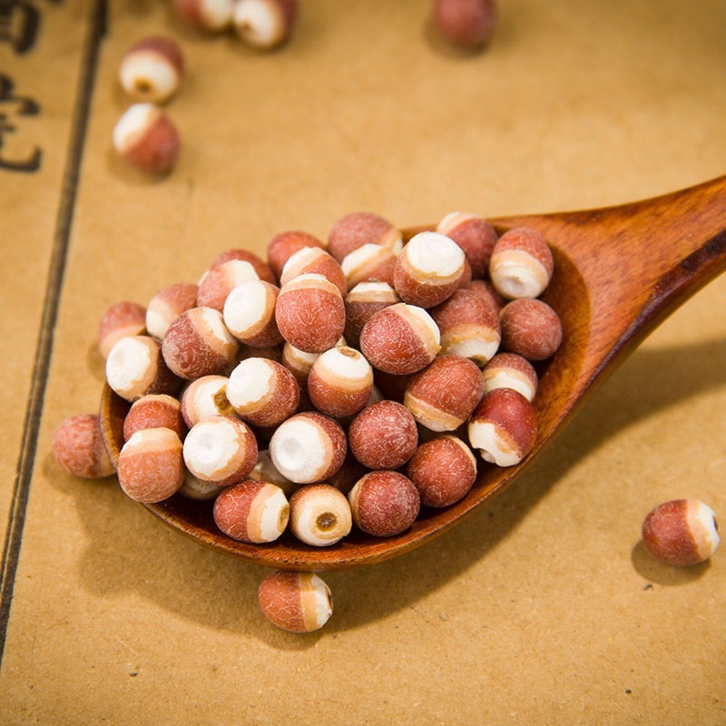 Dried Gorgon Fruit Seeds Qian Shi 500g Whole Red Skin Euryale Seeds for Soup Congee and Herbal Cooking - Image 3