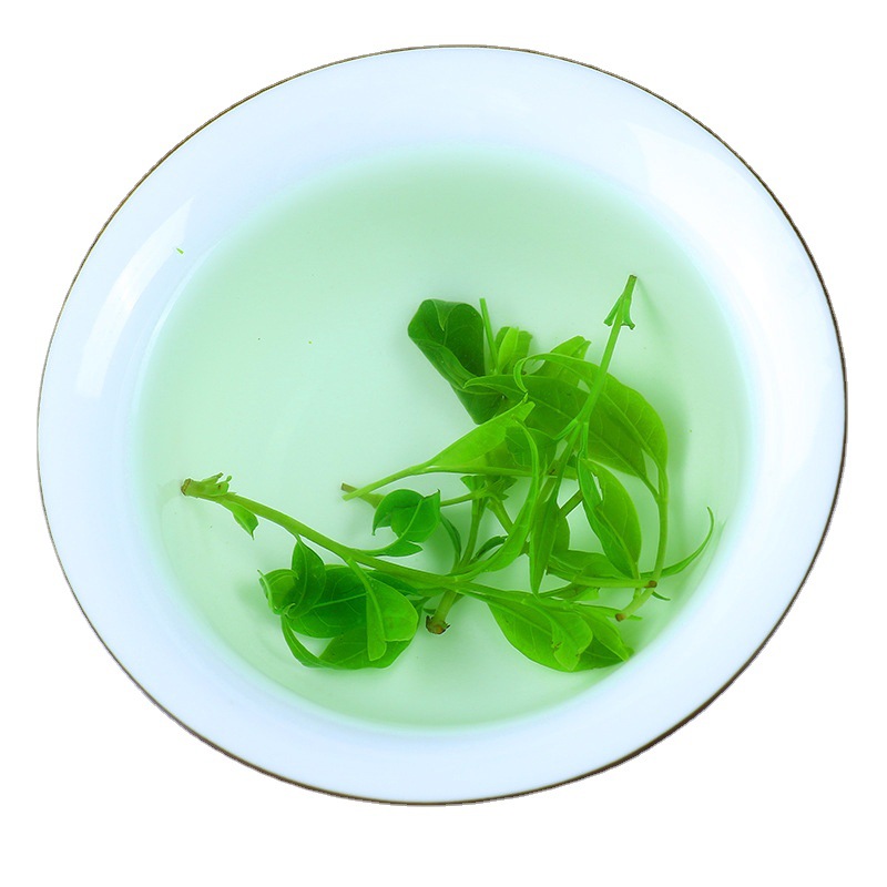 Xiao Ye Ku Ding Tea (Ligustrum robustum) — Early Spring Tender Bud Green Tea, 500g Loose Leaf - Image 4