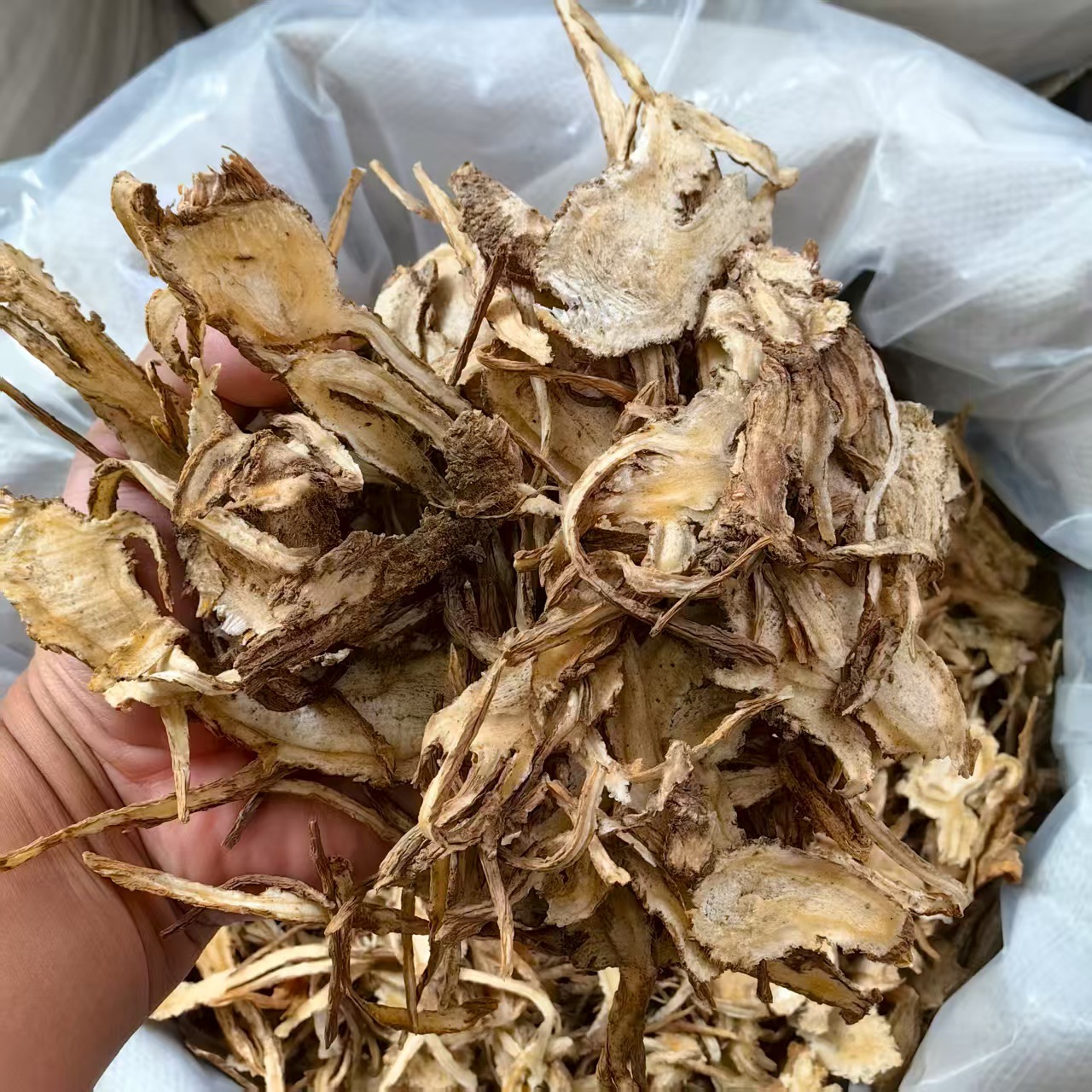 Dried Angelica Sinensis Root Slices Dang Gui 500g Minxian Gansu TCM Herbal Decoction Herb - Image 2