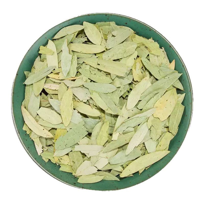 Senna Leaf 500g Fan Xie Ye Dried Herbal Tea Leaves Natural Sun Dried Guangxi Origin - Image 5