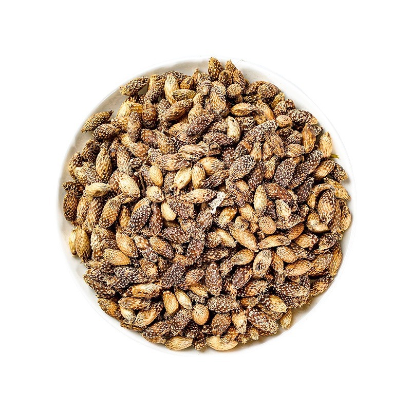 Cang Er Zi (Xanthium sibiricum) — Stir-Fried De-Spined Cocklebur Fruit, Dried Herb 500g - Image 5