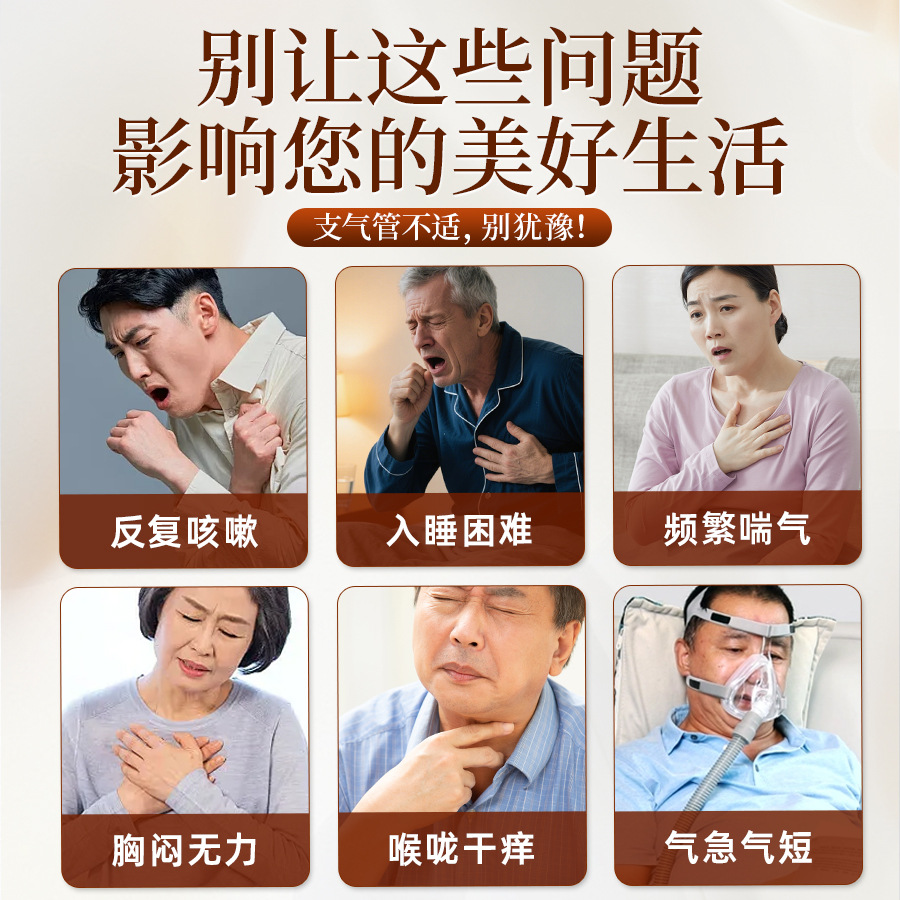 Bronchial Herbal Patch Chest Application for Traditional Respiratory Support 12 Patches Per Box - Image 2