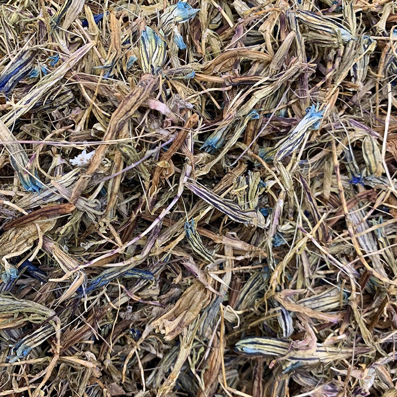Dried Gentian Flower for Tea and Decoction 10g Bag Traditional Herbal Use - Image 3