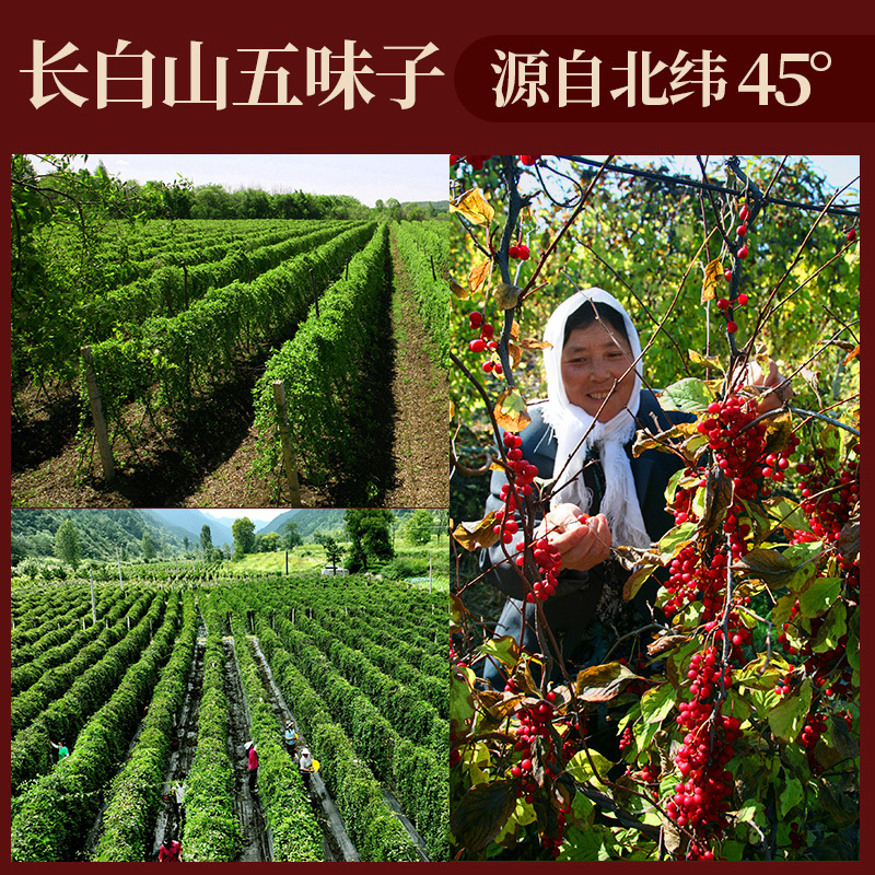 Dried Schisandra Berry Wu Wei Zi 100g Bottle Northeast China Herbal Tea Ingredient - Image 2