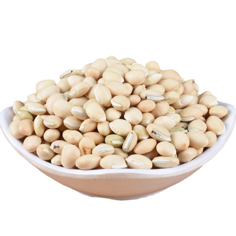 Bai Bian Dou (Dolichos lablab) — Dried White Hyacinth Bean for Soup & Congee - Image 5