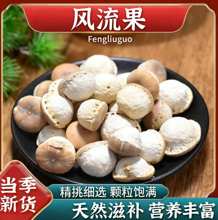 Feng Liu Gu Dried Fengliu Fruit 100g Jar Whole Stone Fruit Traditional Chinese Herb - Image 2
