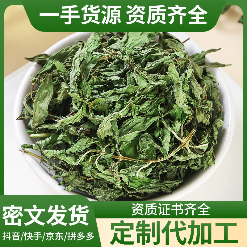 Spearmint Leaf (Mentha spicata) — Anhui Dried Mint Tea for Cold Brew & Daily Infusions - Image 2