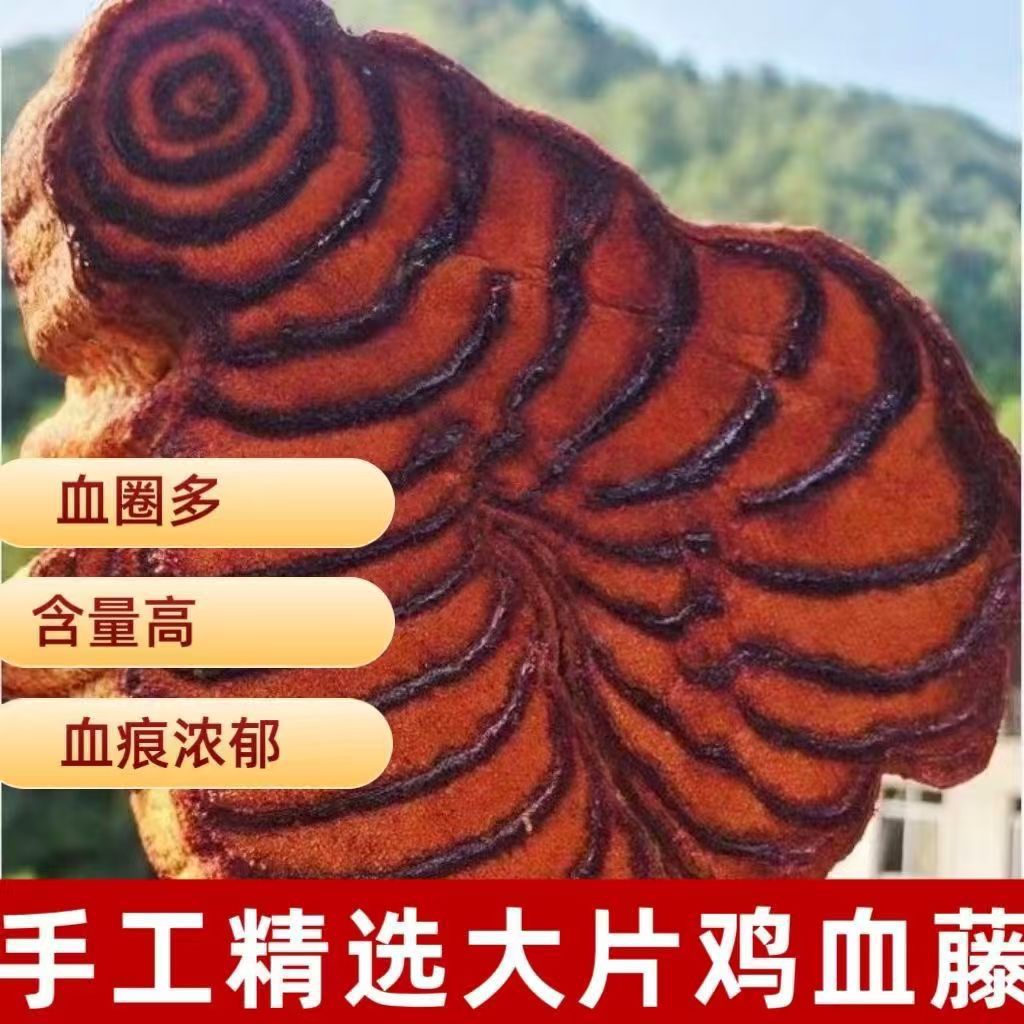 Spatholobus Suberectus Vine Ji Xue Teng Dried Whole Vine Chinese Herb 500g - Image 2