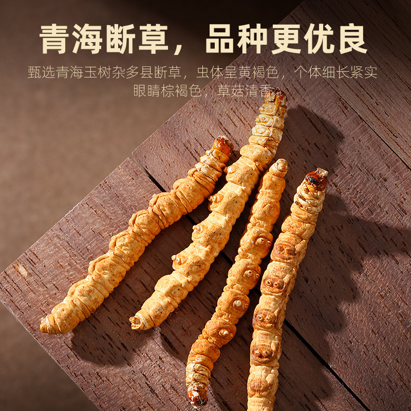 Dried Cordyceps Sinensis Broken Stems 10g Jar Qinghai Origin Whole Dried Cordyceps for Cooking - Image 4