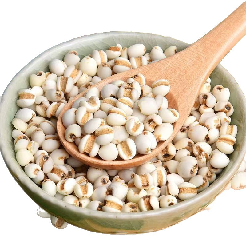 Roasted Coix Seed Powder Yi Yi Ren 薏苡仁 Coix lacryma-jobi 500g Herbal Powder for Drinks and Congee - Image 5