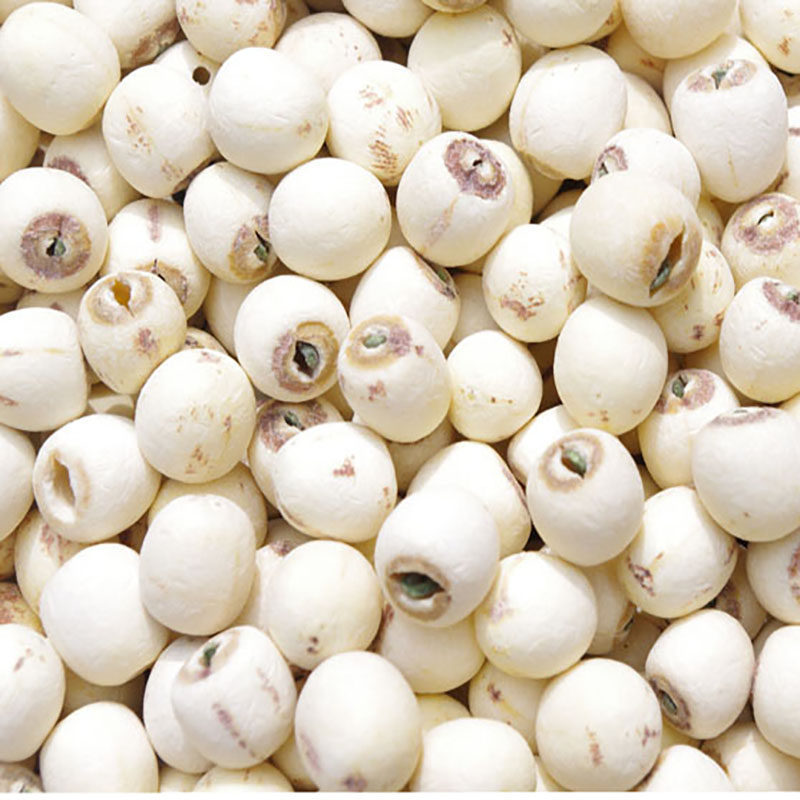 Premium White Lotus Seeds with Core Bai Lian Zi 500g Dried Xiangtan Lotus Seed Kernels for Soup and Tea - Image 3