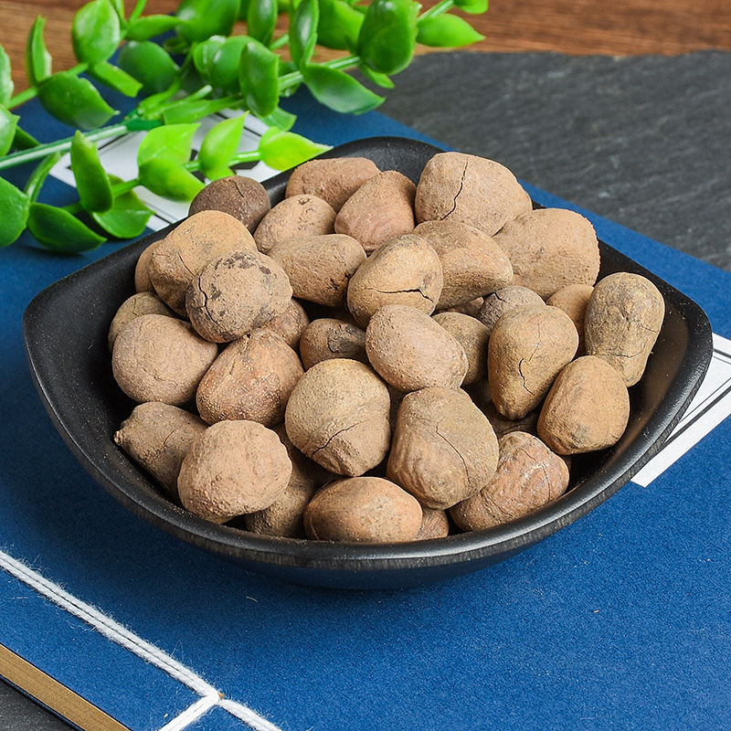 Da Feng Zi (Hydnocarpus anthelminticus) — Dried Chaulmoogra Seeds, Raw Herb Supply - Image 4