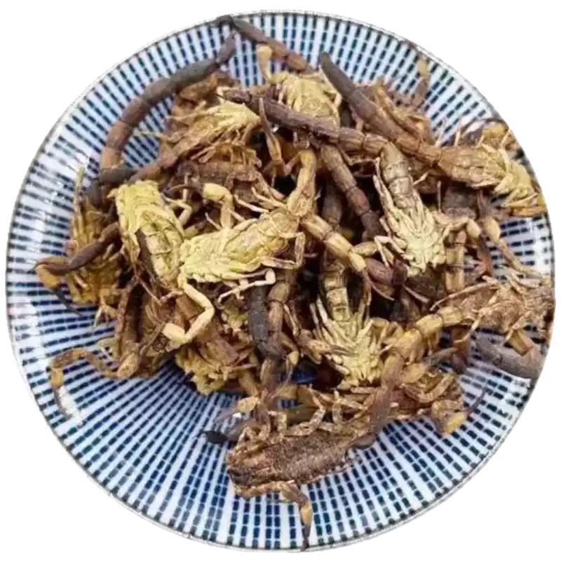 Whole Scorpion Quan Xie Dried TCM Herb 500g Natural Sun Dried Shandong Origin - Image 5