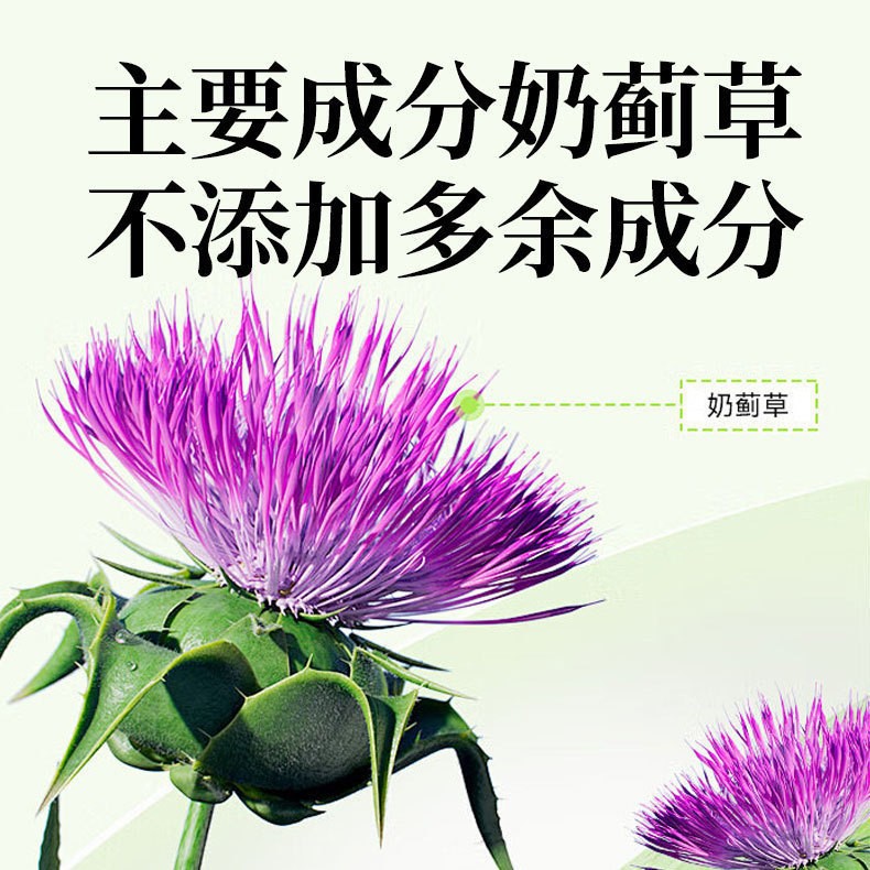Milk Thistle Seed Oil Ginseng Kudzu Astragalus Chewable Tablets 60g Herbal Supplement - Image 3