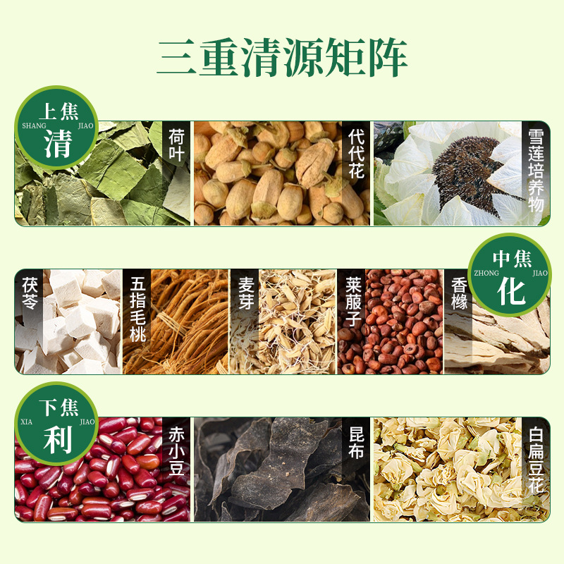 Fu Shi Chang Qing Gao (Herbal Dampness-Clearing Paste) — 14-Herb Food-Herb Herbal Paste, 10g × 10 Sachets - Image 3