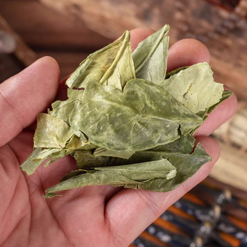 Dried Kumquat Leaf Jin Ju Ye 50g Pack Natural Sun Dried Loose Herb for Traditional Herbal Tea and Decoction - Image 3