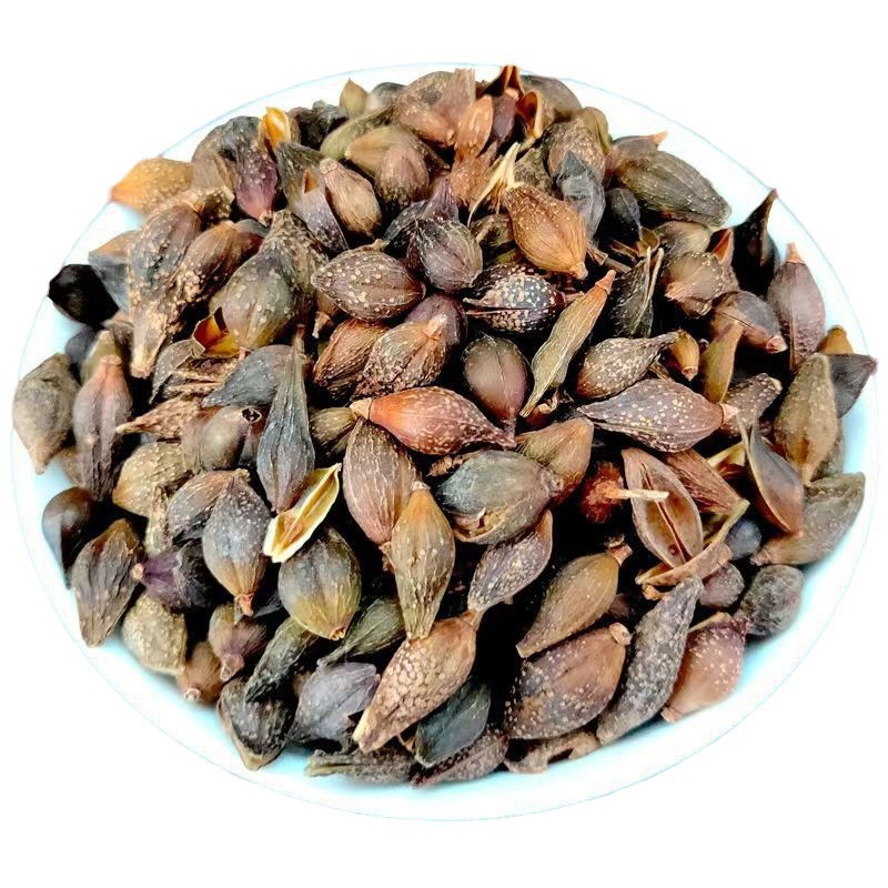 Forsythia Fruit Lian Qiao 连翘 Green Qing Qiao Dried Herb 500g for Decoction and Culinary Use - Image 5