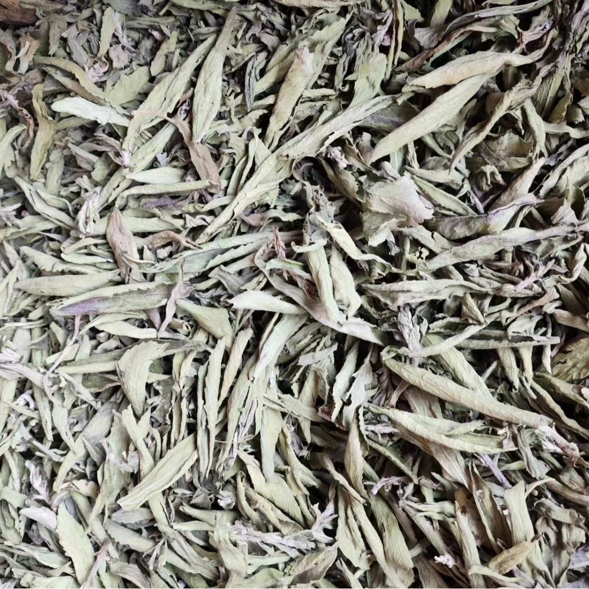 Stevia Leaf (Stevia rebaudiana) — Dried Sweet Herb for Tea & Natural Sweetening - Image 4