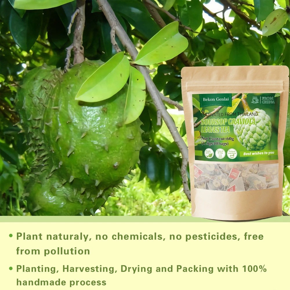 Soursop Graviola Leaves Tea 60g Dried Annona Muricata Leaf Herbal Infusion for Daily Brewing - Image 3
