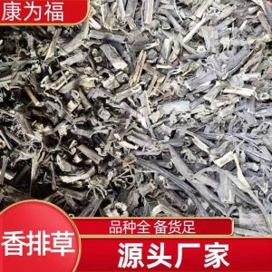 Xiang Pai Cao (Lysimachia foenum-graecum) — Dried Fragrant Herb, Whole or Powdered