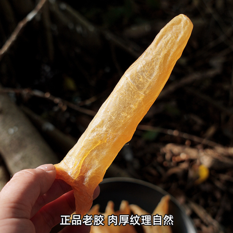 Premium Huang Hua Jiao Fish Maw Tubes 250g Dried Yellow Croaker Swim Bladder for Nourishing Soups and Postpartum Care - Image 3