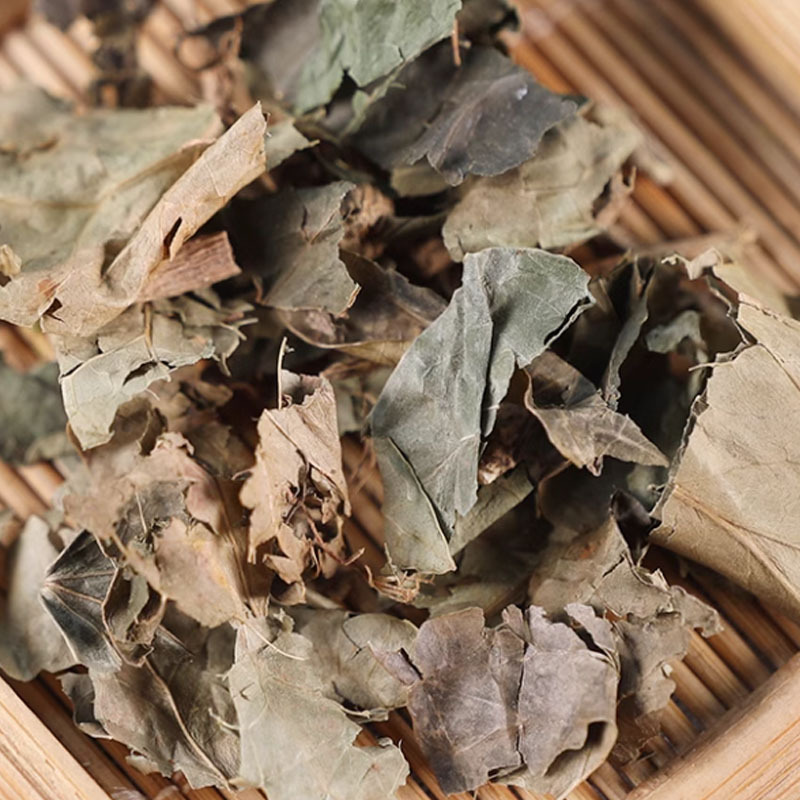 San Jiao Feng (Acer triflorum / Three-Flower Maple) — Dried Chinese Herb, 500g - Image 2