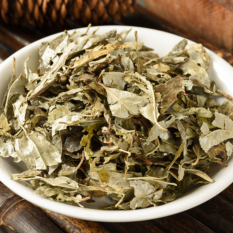 Hu Tuizi Ye (Elaeagnus pungens Leaf) — Dried Food Herb, Unsulfured New Crop - Image 3