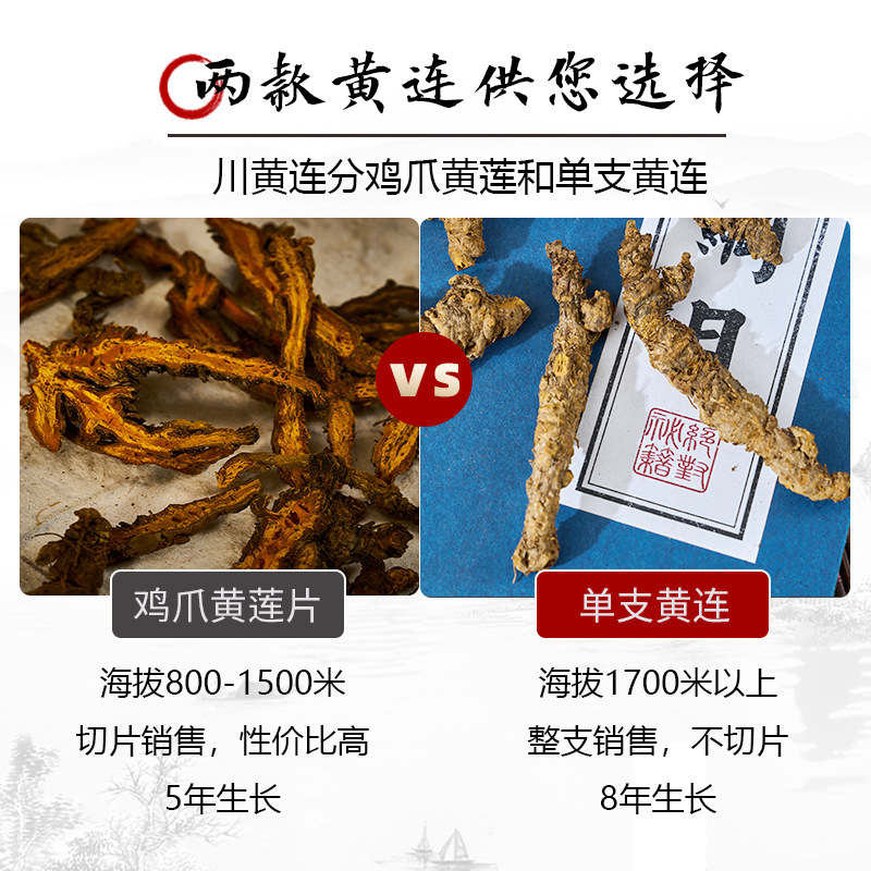 Sichuan Coptis Root Slices Huang Lian 500g Wild Chuan Lian Dried Herb for Decoction - Image 4