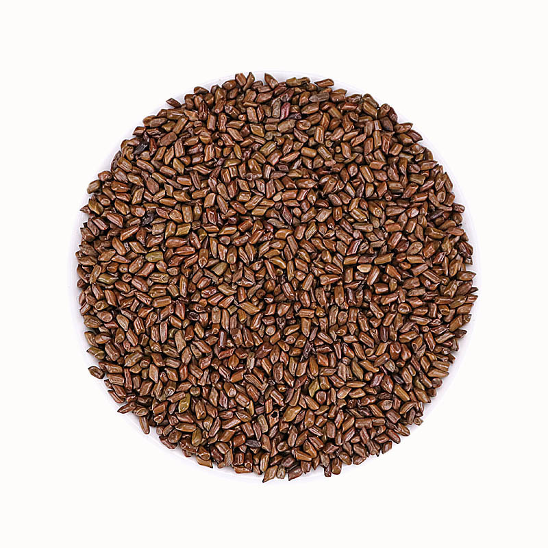 Cassia Seed (Semen Cassiae) — Dried Jue Ming Zi Food Herb for Tea & Pillow Filling - Image 5