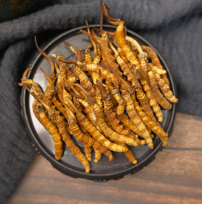 Premium Cordyceps Sinensis Gift Box Dried Tibetan Cordyceps for Traditional Herbal Soup - Image 2