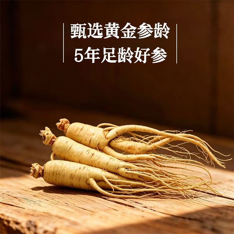Yu Ling Gao (玉灵膏) — Steamed Longan & American Ginseng Herbal Paste, 220g - Image 3