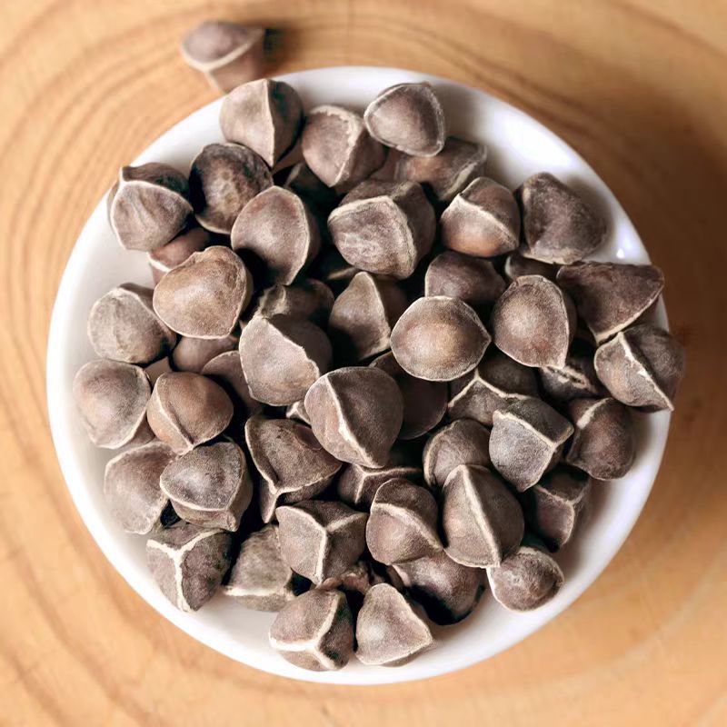 Moringa Seeds (Moringa oleifera) — Dried Food-Herb Seeds, 500g Yunnan Origin - Image 4