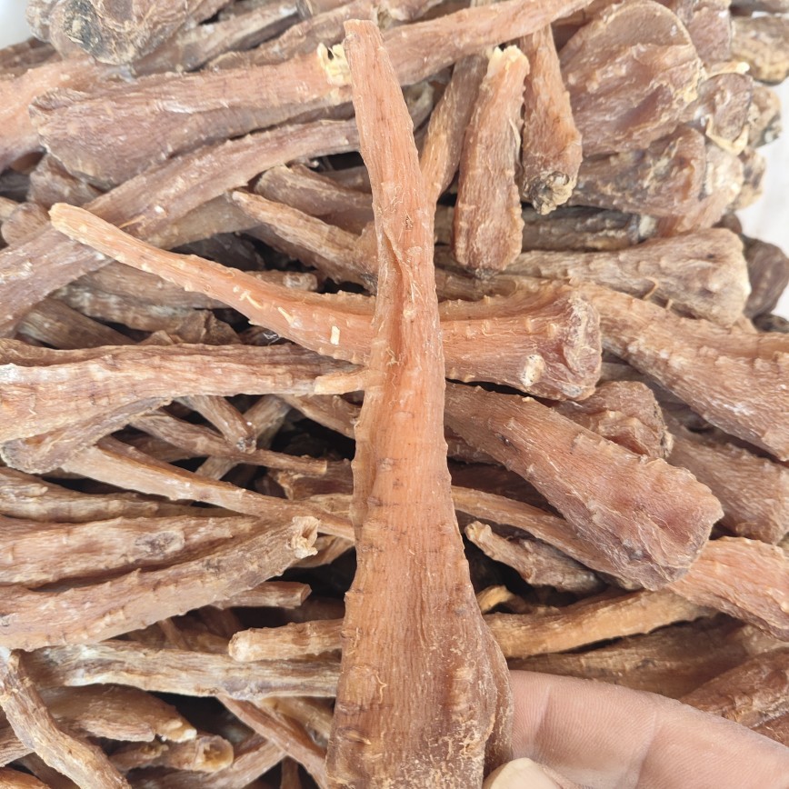 Tibetan Snow Ginseng (藏雪参) — Rare Dried Herbal Root from Tibet, 500g - Image 4
