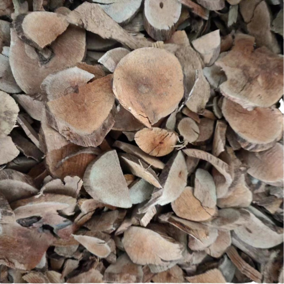 Hei Lao Hu (Kadsura coccinea) — Dried TCM Vine Root & Fruit, 500g - Image 5