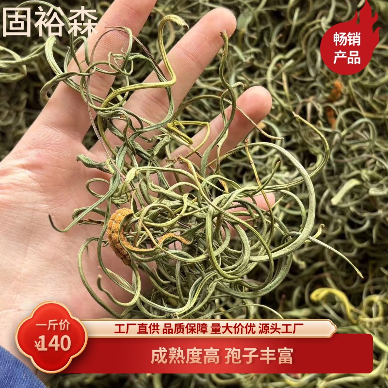 Shen Jing Cao Dried Herbal Root Sweet Grass Aroma 250g Home Use - Image 2