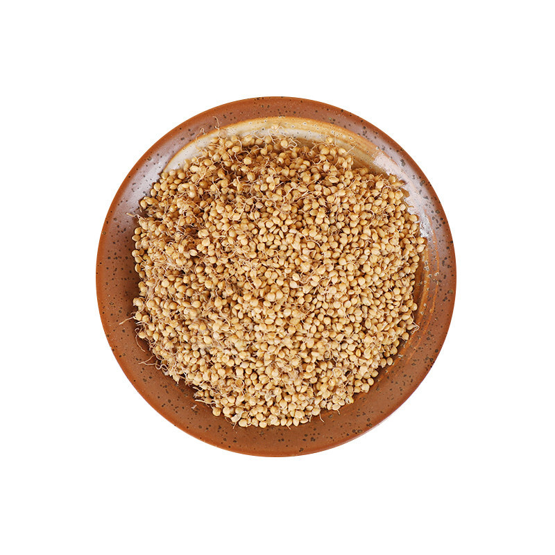 Dried Rice Sprout Gu Ya 500g Raw Herbal Decoction Pieces for Traditional TCM Use - Image 5