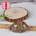 Zi Bei Chi (Concha Mauritiae) — Dried Purple Cowrie Shell Pieces, Traditional Mineral Herb - Image 2
