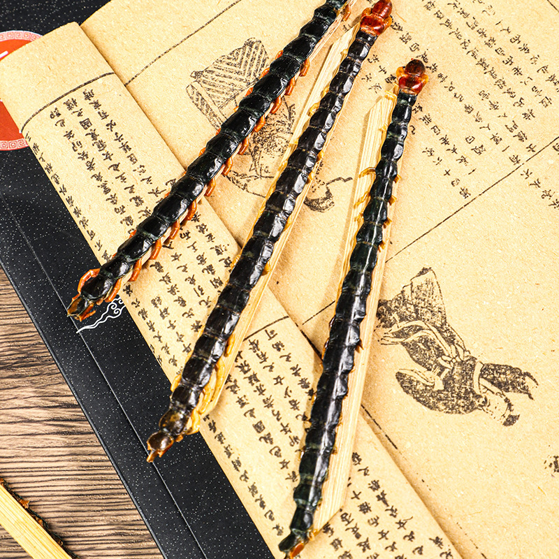 Dried Centipede Wu Gong 500g Whole Dried Scolopendra Subspinipes Mutilans TCM Herbal Material - Image 2
