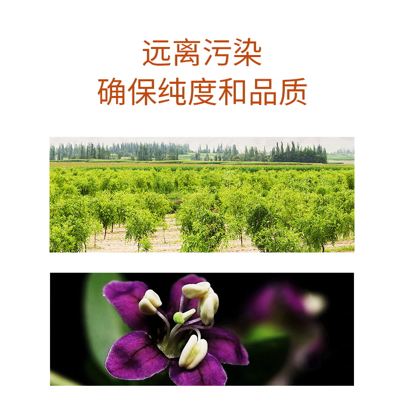 Ning'anbao Goji Honey 500g Chinese Wolfberry Blossom Honey Ready to Eat - Image 2