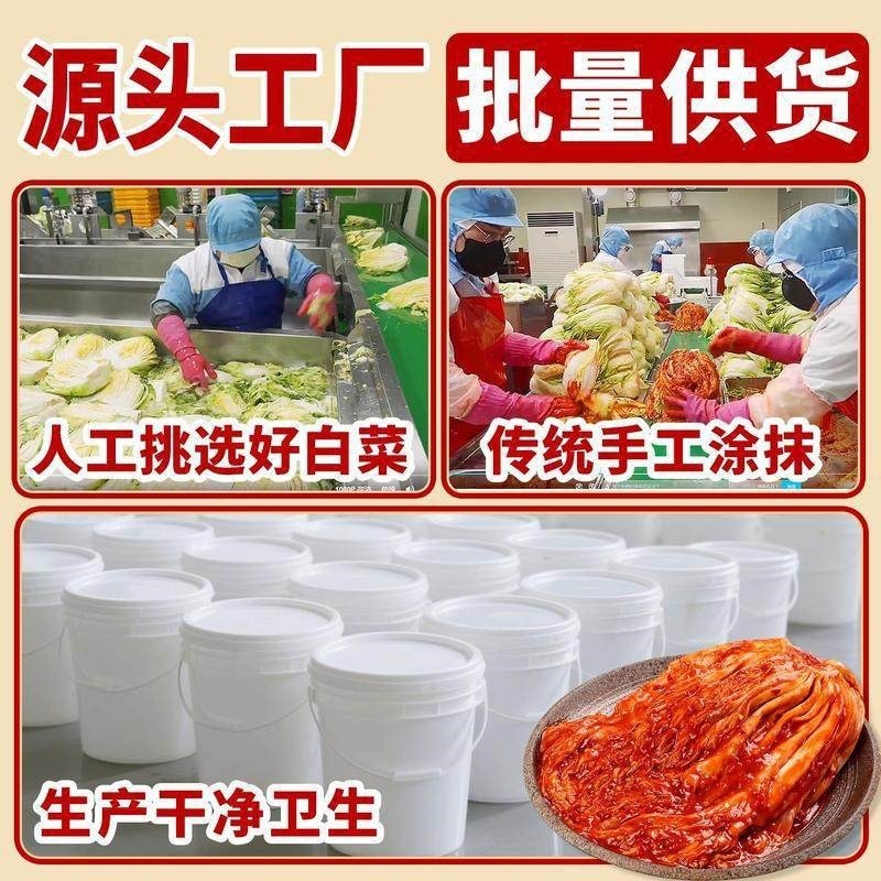 Korean Style Spicy Cabbage Kimchi Bucket Pack Authentic Yanbian Pickled Side Dish 1 Jin - Image 4