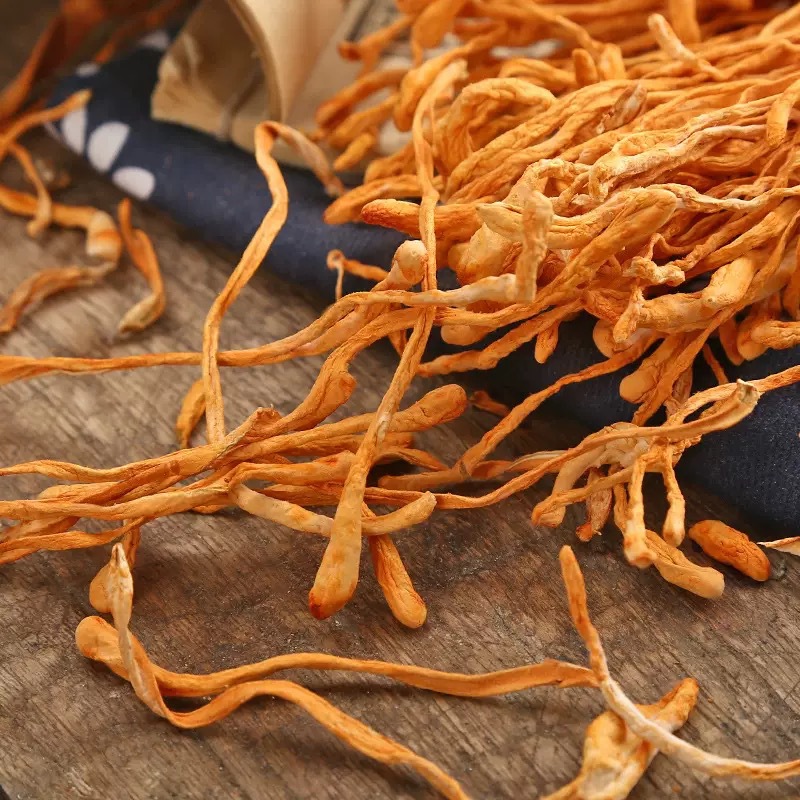 Cordyceps Flower Chong Cao Hua Dried Cordyceps Militaris Fruiting Bodies 500g for Soup and Tea - Image 4