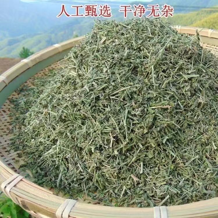 Tou Gu Cao透骨草 Dried Whole Herb Sichuan Origin Traditional External Herbal Use 500g - Image 2